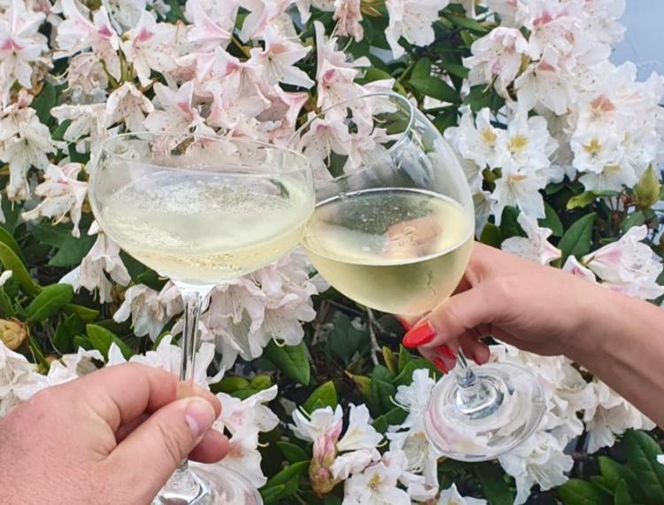 Ferienhaus Riesling Haßloch Eksteriør bilde